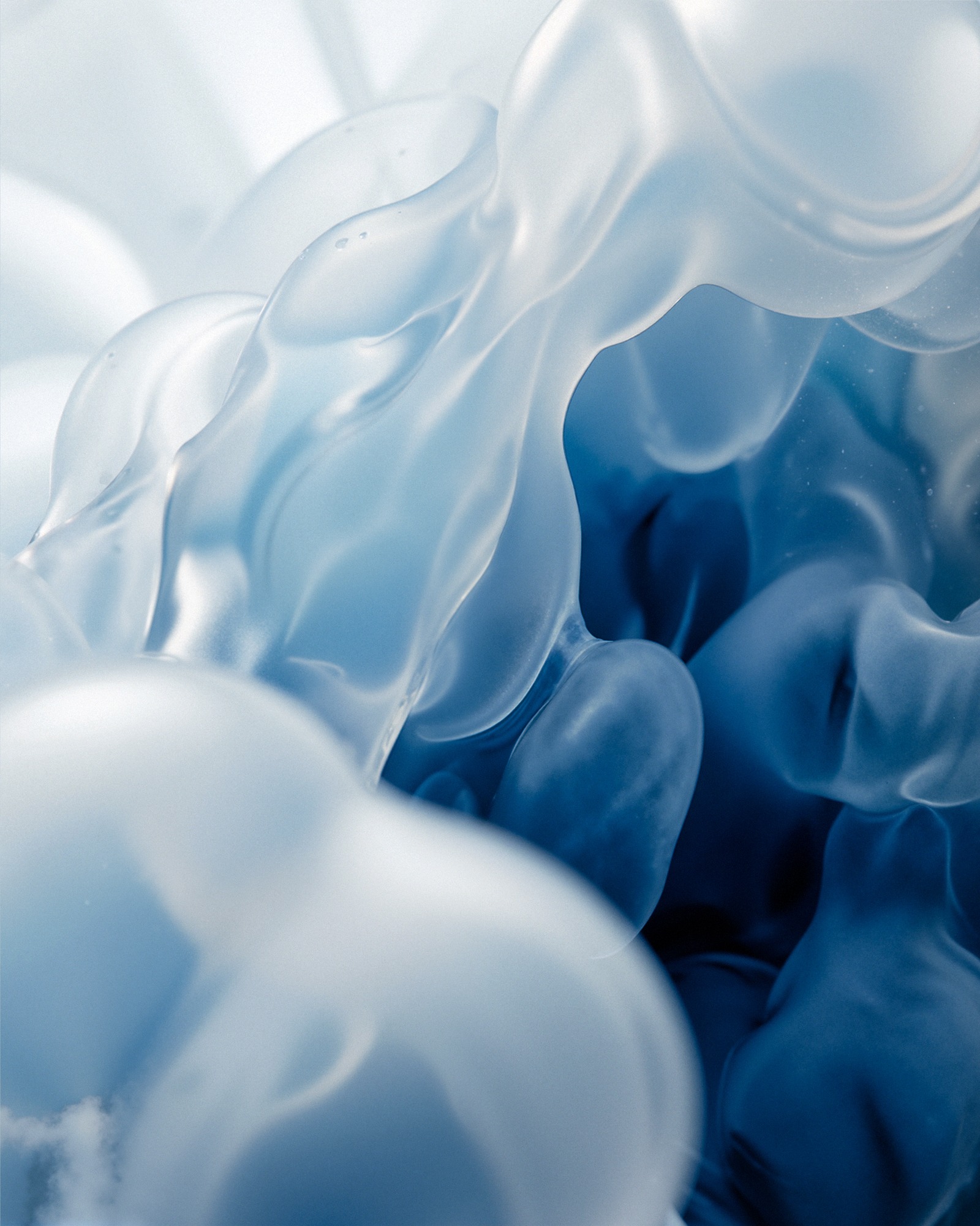 Liquid Light Engine — Translucent blue glass folding into soft chambers — the study’s type specimen