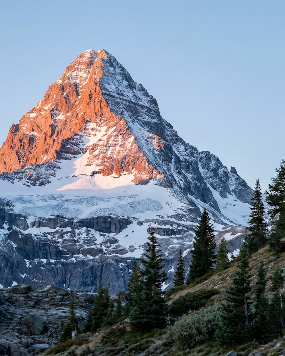 Reference — the location: an alpine peak above pines