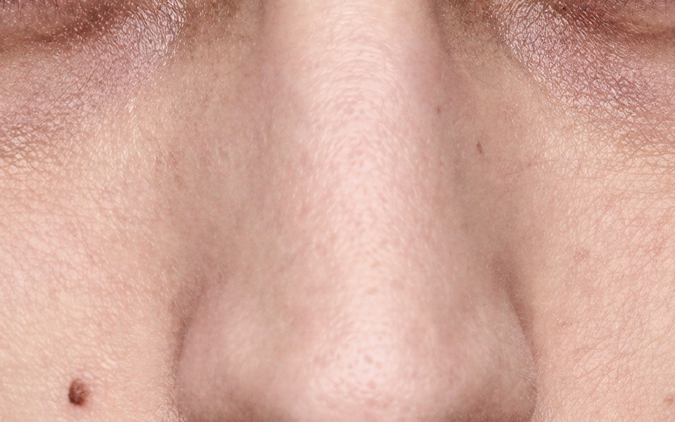 Portrait 1, the bridge of the nose, SeedVR2 on its own — the skin smooth