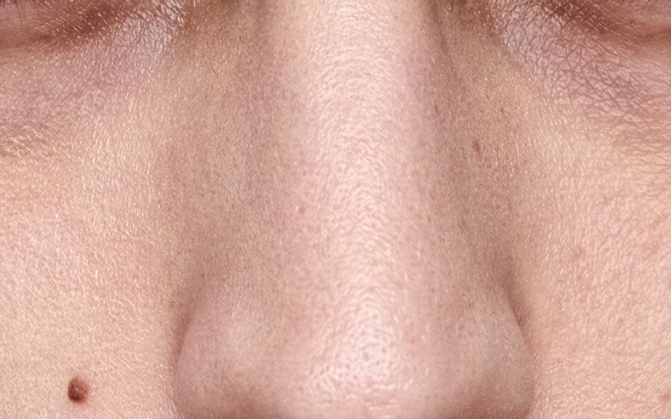 Portrait 1, the bridge of the nose, through the suite — pores across the skin